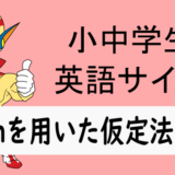 wishを用いた仮定法