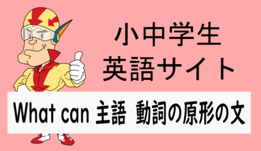 What can 主語 動詞の原形の文