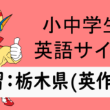 中学英語：入試実践演習 栃木県(英作文)