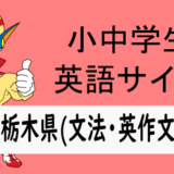 中学英語：入試実践演習 栃木県(文法・英作文など)