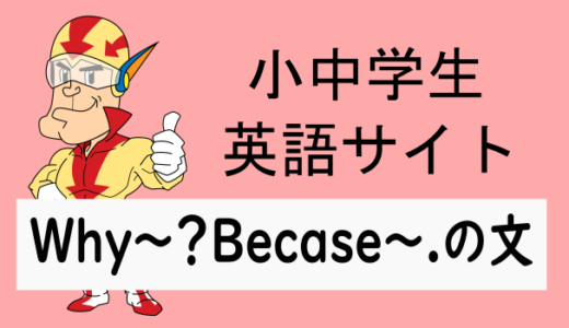 Why～？Because～.の文について
